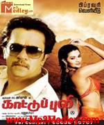 Kaattupuli 2011